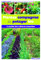 Plantes compagnes au potager bio: Le guide des cultures associées