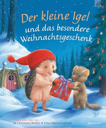 Der kleine Igel und das besondere Weihnachtsgeschenk: Zauberhafte Geschichte für die Winter- und Weihnachtszeit zum Vorlesen ab 3 Jahre. Der beliebte ... Igel über ein ungewöhnliches Geschenk.