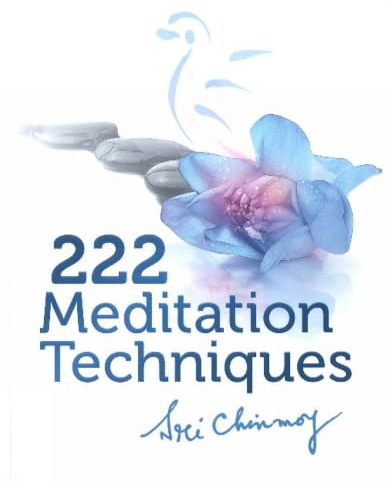 222 Meditation Techniques