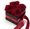 ROSEMARIE SCHULZ Heidelberg Allerbeste Mama Geschenk ewige Rosen - Schwarze Rosenbox 4 konservierte Rosen haltbar 3 Jahre 8,5x8,5cm - Muttertagsgeschenke Ideen (Allerbeste Mama, Dunkel Rot)