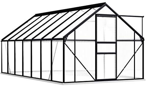 Tidyard Serre de Jardin Polycarbonate/Serre de Jardin 8,17 m² avec Cadre de Base Anthracite Aluminium