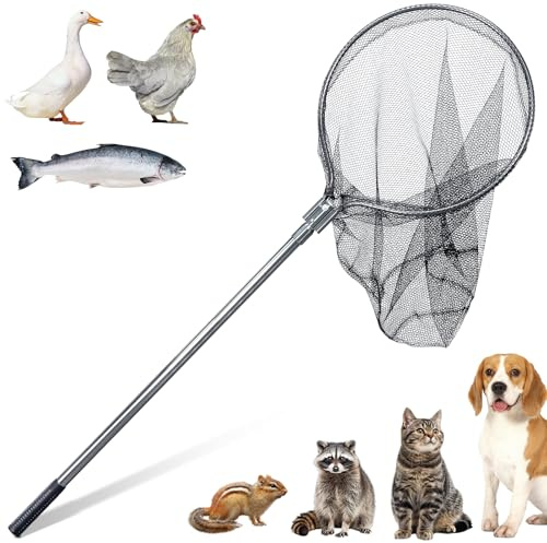 KHEARPSL Tierfangnetz Hundefangstange Große Größe Hühnerfangnetz für Hahn, Truthahn, Ente, Waschbär, Katze, Hund, Fischernetz mit Teleskopstange 109,2-198,1 cm, 50,8 cm Netzöffnung, 61 cm Netztiefe