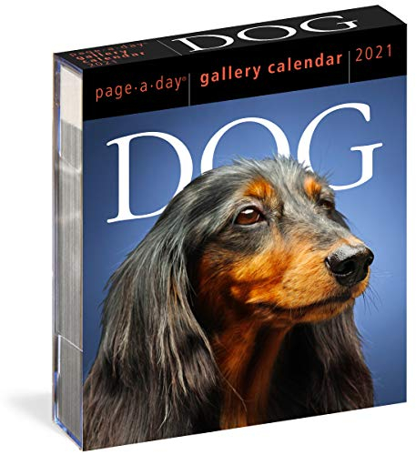 Dog Gallery 2021 Calendar