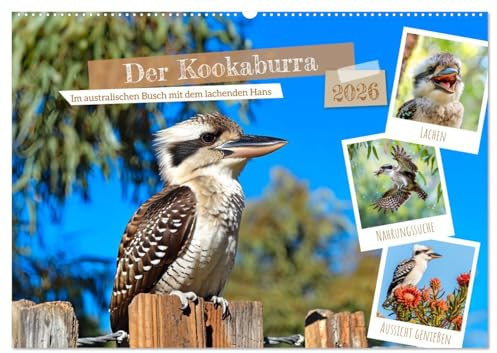 Der Kookaburra - Im australischen Busch mit dem lachenden Hans (Wandkalender 2026 DIN A2 quer), CALVENDO Monatskalender: KI-generierte Einblicke in das Kookaburra-Leben im Outback (CALVENDO Tiere)