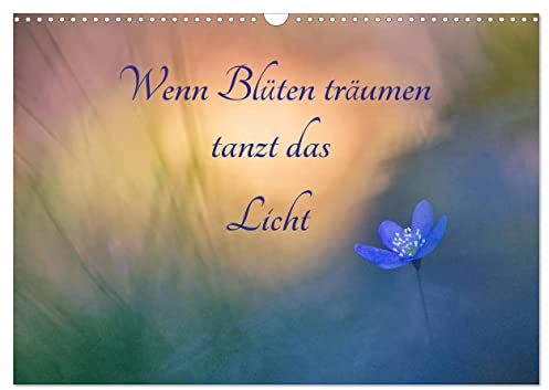 Wenn Blüten träumen tanzt das Licht (Wandkalender 2026 DIN A3 quer), CALVENDO Monatskalender: Zauberhafte Begegnungen mit zarten Blüten und traumhaften Lichtsituationen. (CALVENDO Natur)