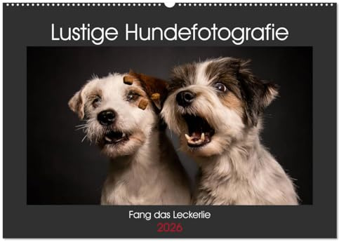 Fang das Leckerlie (Wandkalender 2026 DIN A2 quer), CALVENDO Monatskalender: Hundekalender 2018 - Fang das Leckerlie (CALVENDO Tiere)