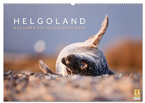 Helgoland - Das Leben auf der Düne Helgolands (Wandkalender 2026 DIN A2 quer), CALVENDO Monatskalender: Die Tier- und Naturwelt der Düne Helgolands ... in wunderschönen Aufnahmen. (CALVENDO Natur)