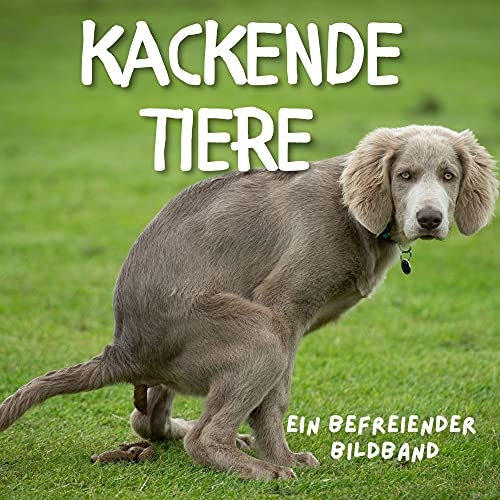 Kackende Tiere: Ein befreiender Bildband