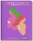 Zwillinge: Ein edles Geschenkbuch über die Kraft der Astrologie | Tolles Horoskop-Buch für alle im Sternzeichen Zwilling Geborenen (Sternzeichen-Bücher zum Verschenken)