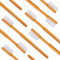Wellsamed 100 Stück Wellsabrush Einmal-Zahnbürsten imprägniert mit Zahnpasta, Orange ideal für Reisen und unterwegs