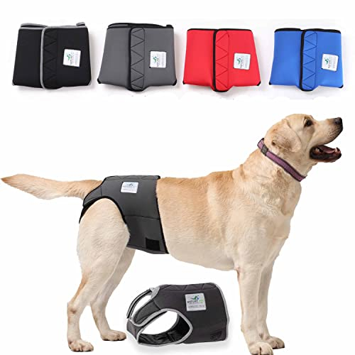 Nature Pet Läufigkeitshose für Hündinnen - Hundewindel für Rüden - Kein lästiges Einfädeln der Rute - Inkontinenz Hundehöschen (M-L-Blau)