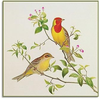 NOHF Vintage Tier Poster Vögel Poster Wandkunst Druck Retro Ästhetische Raumdekoration Büro Dekorationen 12x12inch(30x30cm) Unrahmen-Stil