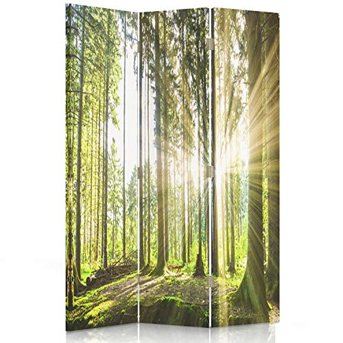 Feeby Paravent Wald Baum Sonne Natur Landschaft 3 Teilig 110x150 cm Modern Design Einseitig Raumteiler Wandschirme Foto Trennwand Raumtrenner Sichtschutz Spanische Wand Auf Leinwand Bedruckt Grün
