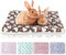 Sbayool 5 Stück Meerschweinchen Fleecedecken, Kralle oder Herzform Muster Kleintier-Plüschbett, warme Flauschige Welpendecke für Kätzchen, Kaninchen, Chinchillas, Frettchen, Hamster 51×34cm