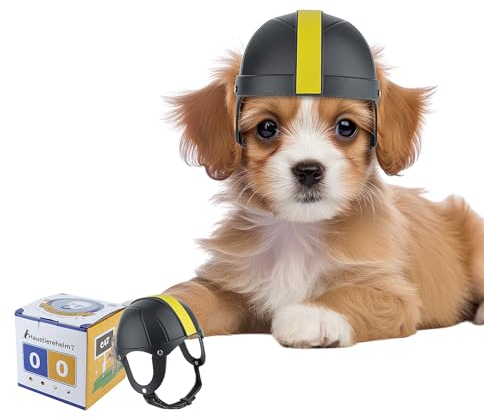 NAMSAN Haustierhelm Hund Motorradhelm Fahrradmütze Verstellbarer Kinnriemen Hundehelm Geeignet für kleine Hunde - Größe M Schwarz