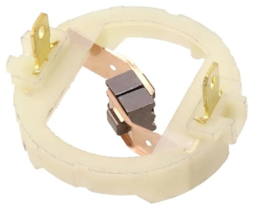 Balai Charbon pour Parkside PWSA 20 Li C3 / PWSA 20 Li B3 / PWSA 20 Li B2 moteur RS897 RS895 RS875 RS887, Pour Moteur de Perceuse Rechargeable au Lithium