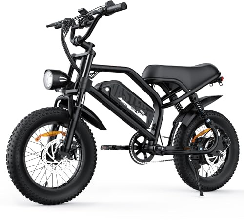 AVDLEU Bici Elettrica Fat Bike 16x3.0, Batteria 36V 12,8Ah, LCD