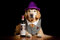 LHJOY 3D Puzzle Allianz Arena 1000 Teile Labrador Retriever Hund Lustiger Hut Pfote Brille Flasche Geburtstagsgeschenk 75x50cm