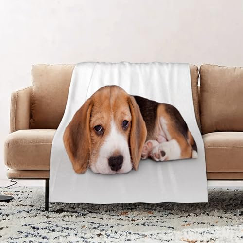 EOMKSE Kuscheldecke Flauschig Decke - weiche warme Fleecedecke 130x150cm als Decke Sofa,Liegend in der Natur. Schöne kleine Depression. Niedlicher Hund. Beagle-Welpe,Wohndecke oder Couchdecke überwurf