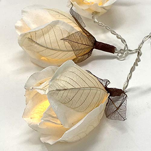 Blaze On Chelsea Rose Fairy Lights (White Coloured) – 20 Warm White LED Lights – Handcrafted Roses Created from Mulberry Paper – USB Powered with UK 3-Pin Adapter – Indoor String Lights