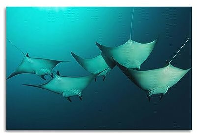 WELYK Sea Life Poster Manta Birostris Poster, dekoratives Gemälde, Leinwand, Wandposter und Kunstdruck, modernes Familienschlafzimmer, Dekoration, Poster, 30 x 45 cm