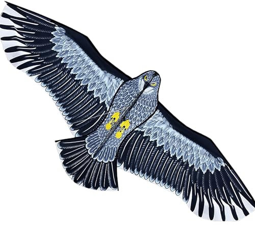 Touch the sky 1,8m Riesige Adler Drachen Kite für Kinder und Erwachsene, Leicht zu Fliegen, Einzigartiges Strukturdesign, Ausgezeichnete Outdoor-Spiele und Aktivitätsspielzeug. Geeignet für Anfänger.