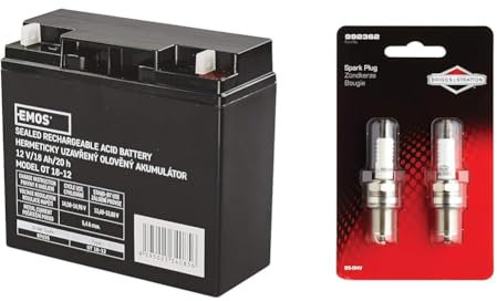 Les emos Entretien libre Accumulateur au plomb 12 V, 18 Ah, 1 pièce, b9655 & 2 bougies d'allumage RC12YC Briggs & Stratton BS-OHV