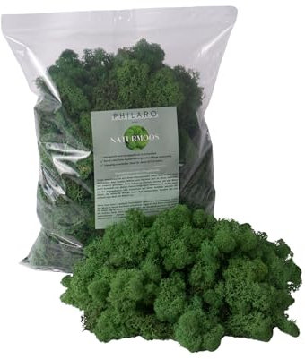 PHILARO Islandmoos - Echtes Naturmoos in 3 versch. Farben aus Schweden in 500g - 1kg Einheiten - konserviertes langlebiges Moos ideal zum basteln oder für Dein DIY Moosbild - Moos Naturgrün 500g