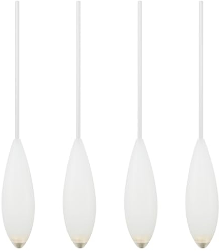 Alwonder 4 Stück Sbirolino-Posen 20g Langsam sinkend Schlepp-Pose für Forellenangeln mit Teig & Trout Spoon Bombarda Posen Aerodynamisches Design für hohe Wurfweiten