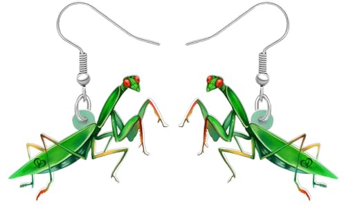 TIZURO Acryl Niedlich Gottesanbeterin Ohrringe Frühling Sommer Insekten Baumeln Neuheit Schmuck Für Frauen Käfer Liebhaber Charms Geschenke
