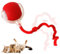 comepew Chewie Rolling Ball, 2024 Neu Katzenspielzeug Elektrisch, Katzenspielzeug Selbstbeschäftigung Interaktives Katzenspielzeug Elektrisches automatisches Katzenspielzeug Rollender Ball (Rot)