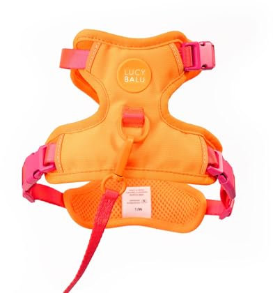 LucyBalu® Explorer Katzengeschirr mit Leine | ausbruchsicheres Katzengeschirr mit AirTag Fach | Katzen Brustgeschirr mit Katzenleine | Sicherheitsgeschirr mit Leine für Katzen | Berry Orange M/L