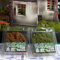 Cayway Lot de 2 pelouses artificielles longues miniatures pour modélisme de train, paysage ferroviaire, bases miniatures et dioramas