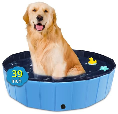 CACSPS Piscina Plegable para Perros de 100cm Pulgadas, Piscina portátil de plástico Duro de Gran tamaño para Perros, Gatos y niños y Mascotas, bañera de baño Plegable para Cachorros (Azul)