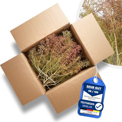 Seemoos/Meerschaum Basis Kartongröße 25x20x15cm | Ideal für Modellbauwälder, Architekturmodellbau, Bäume, Büsche, Dioramen, Miniaturwelt, Modelleisenbahnen & Landschaftsgestaltung