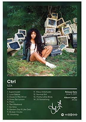 BSapp SZA Ctrl Album Cover SZA Poster Leinwand Poster Schlafzimmer Dekor Sport Landschaft Büro Zimmer Dekor Geschenk 40 x 60 cm