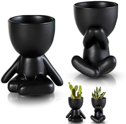 WoRuyKot 2 pezzi per vaso per piante grasse, vasi per piante grasse da interno, Fioriera decorativa perfetta per casa, ufficio, interni ed esterni (nero)