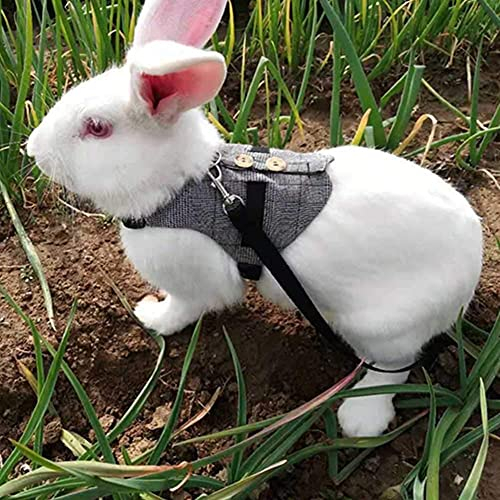 Pssopp Kaninchen Geschirr mit Leine Hasen Leine und Geschirr Verstellbares Weiches Kleintiergeschirr Softgeschirr für Kaninchen Hase(L)