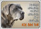 Petsigns Hundeschild Grauer Cane Corso - Warnschild - TOP Metallschild italienische Dogge, DIN A5