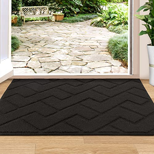 Biscpro Fußmatte Innen Außen 80 x 100 cm, Schmutzfangmatte rutschfest Fussmatte Innen Waschbar Eingangsteppich Innen Fussmatten Haustür dünn Innen für Eingang, Flur, Garten, Innen, Haustier- Schwarz
