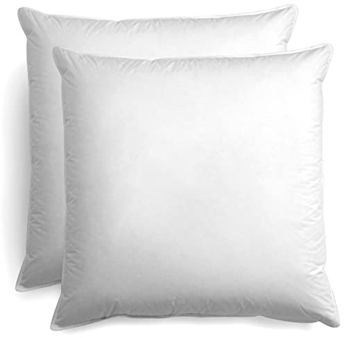 BEFA NATUR Made in Germany Primaloft Bio Kissen 80x80 cm aus hochwertiger Daunenalternative, Öko-Tex 100 Klasse 1 Zertifiziert (2 Stück)