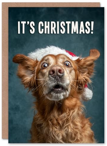 Artery8 Christmas Card Golden Retriever in Santa Hat Photograph Funny