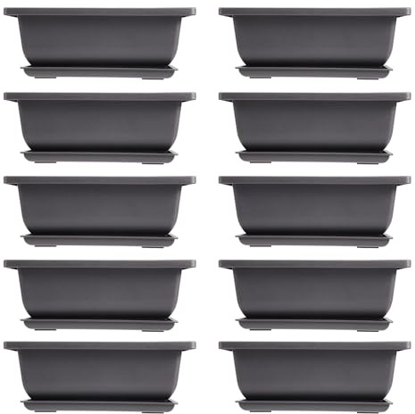 OVNSHVN 10 paquetes de bonsái macetas de entrenamiento con bandeja de plástico para bonsái macetas para jardín, balcón, 16,5 x 12 cm
