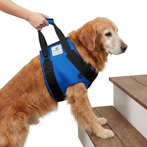 Nature Pet Tragehilfe für Hunde Vorne - Tragegurt als Treppenhilfe & Gehhilfe - Ideal für ältere, kranke oder operierte Vierbeiner - Hunde-Hebegurt für Mobilität (M Blau)