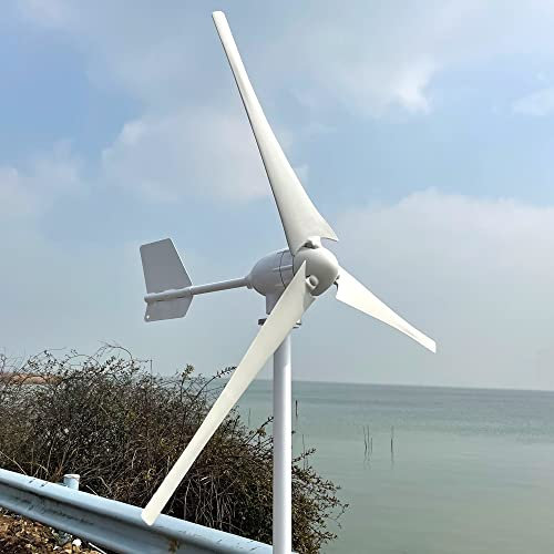 1500W Windkraftanlage Generator 24V 48V Windrad Stromerzeugung für den Heimgebrauch Windturbine Hohe Effizienz Windmühle (24V)