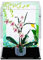 Vitrine en acrylique compatible avec Lego 10311 Orchidée - Protection contre la poussière - Modèle cadeau transparent - Compatible avec Lego (vitrine uniquement)