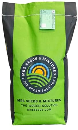 Turbo Green Rasensamen | 5 kg - 250m2 | Nachsaat | Schnellkeimende Grassamen | Premium Qualität Sport- und Spielrasen | Rasen nähen und nachsäen | Repariert kahle Stellen im Rasen | MRS Seeds