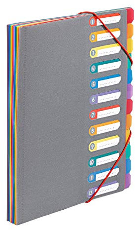 Viquel - Clasificador de documentos A4 con 12 compartimentos - Organizador de escritorio extensible - Portadocumento A4 con índice - Cierre elástico - Rainbow Touch Gris