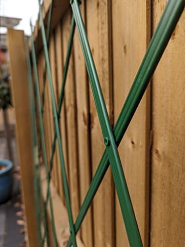 Treillis de Jardin Extensible en Plastique Vert pour Plantes grimpantes et Fleurs - Petit écran 180 x 60