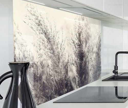 timalo Spritzschutz Wand für Herd, Küche Küchenrückwand Glasoptik | Acryl Glas 2mm | Glasrückwand Acrylglas Wandpaneele Rückwandschutz Platte | 80x60cm Pampasgras